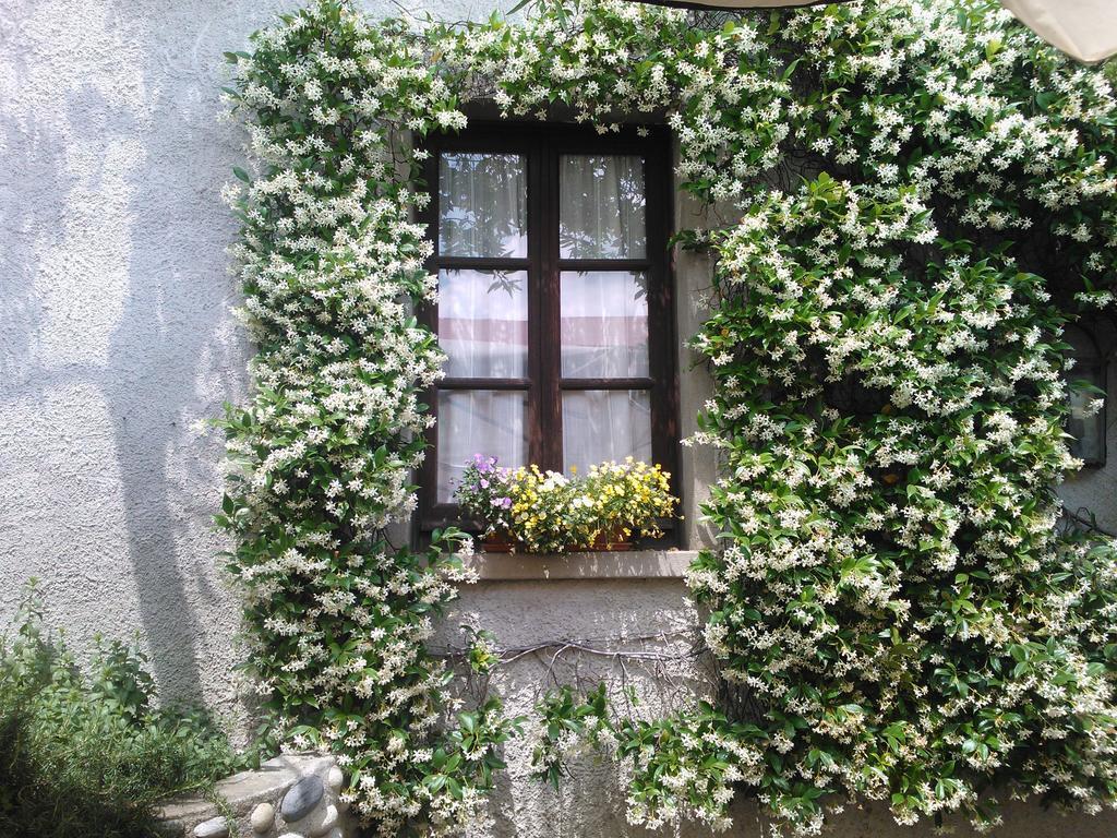 Agriturismo Cassinazza Orsenigo Kamer foto