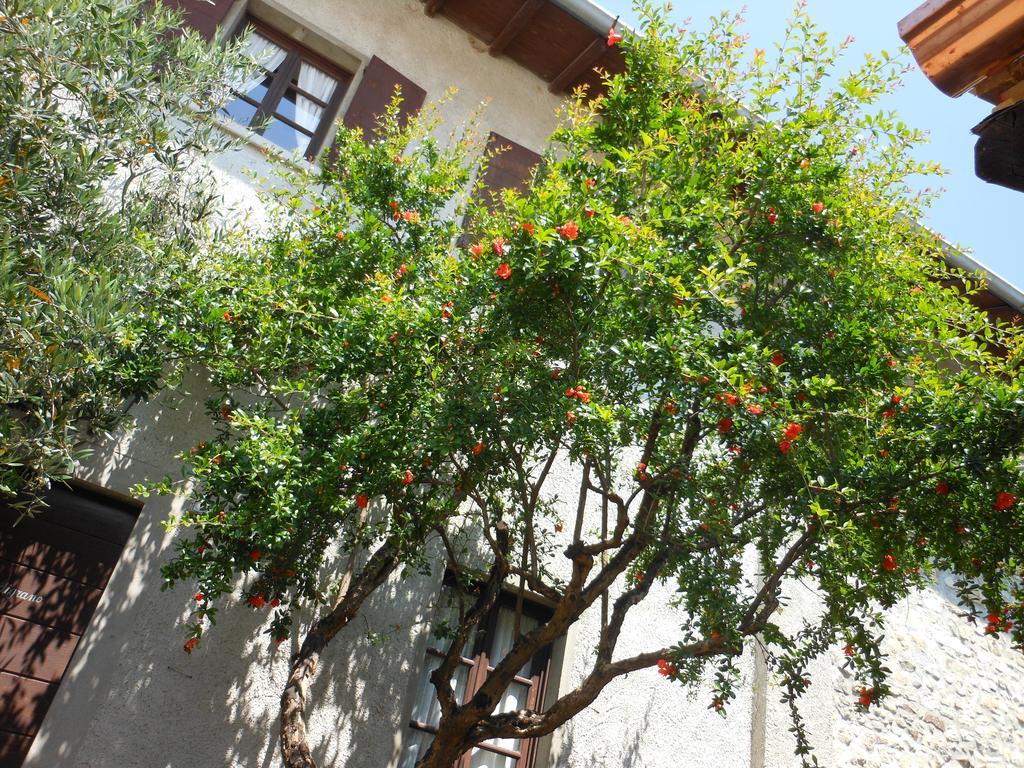 Agriturismo Cassinazza Orsenigo Buitenkant foto