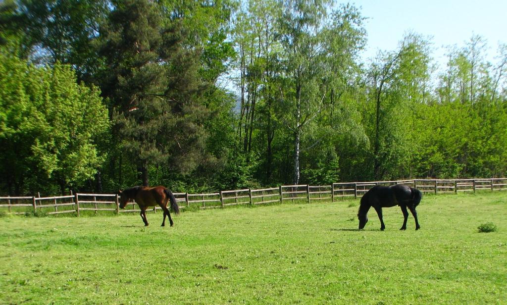 Agriturismo Cassinazza Orsenigo Buitenkant foto